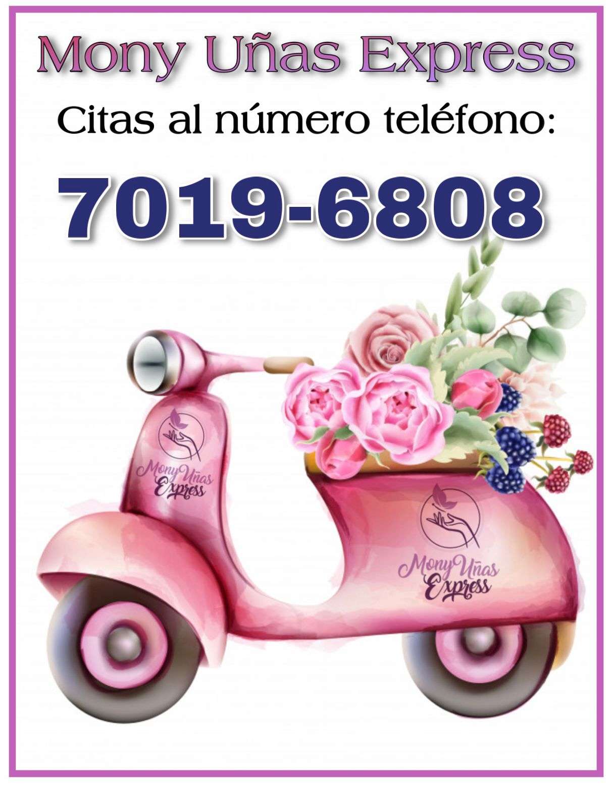Servicio a Domicilio